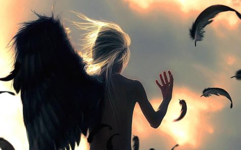 Ilustracja: Niebo dla ptaków, piekło dla ludzi